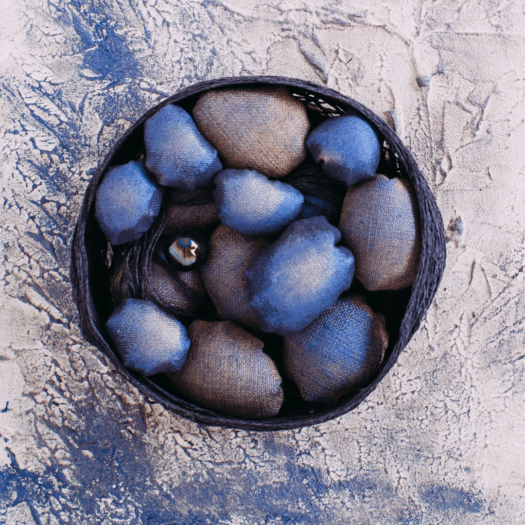 nest-of-the-blue-bird-1